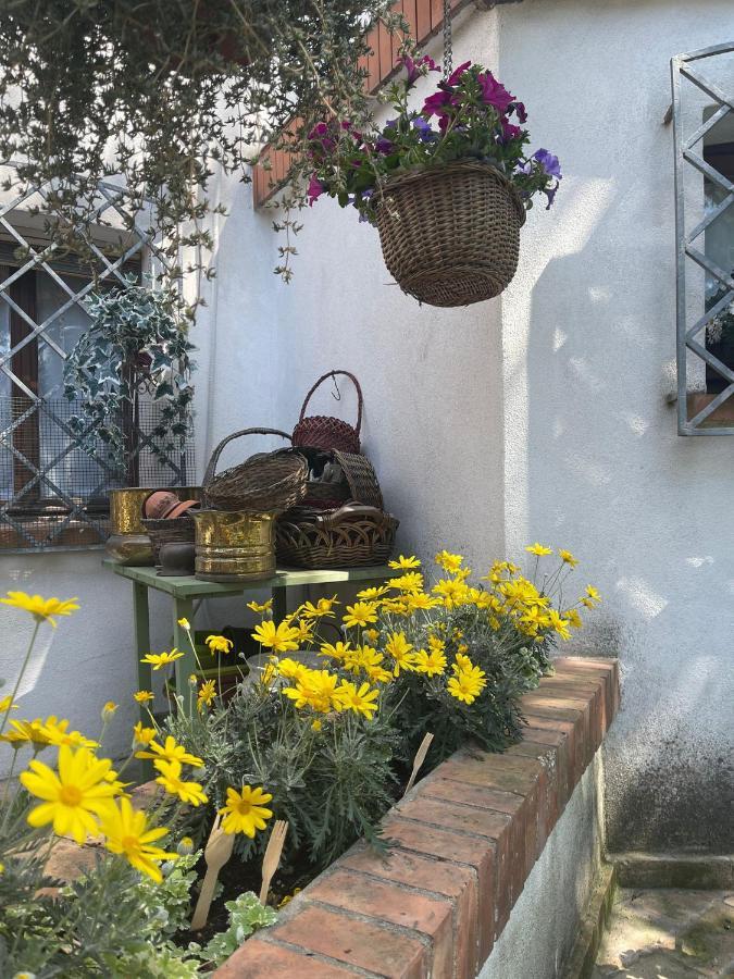 Hotel La Bricola à Cavallino-Treporti Extérieur photo